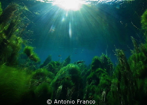 Chidro River by Antonio Franco 